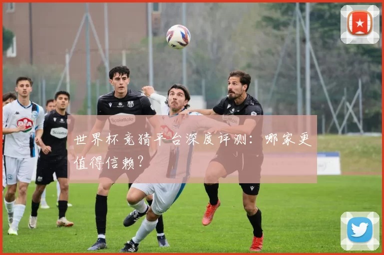 世界杯竞猜平台深度评测:哪家更值得信赖?