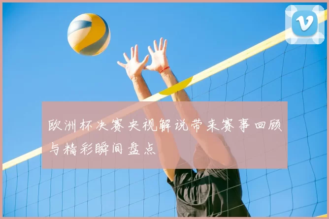 欧洲杯决赛央视解说带来赛事回顾与精彩瞬间盘点