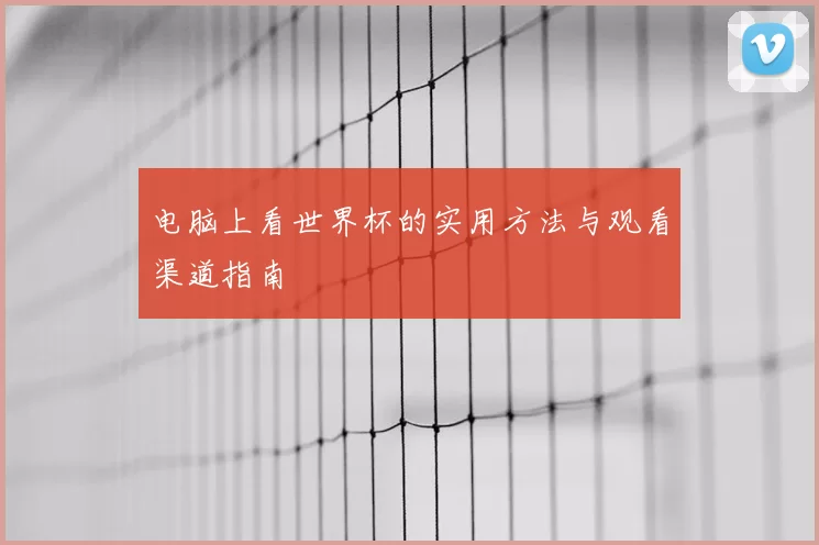 电脑上看世界杯的实用方法与观看渠道指南