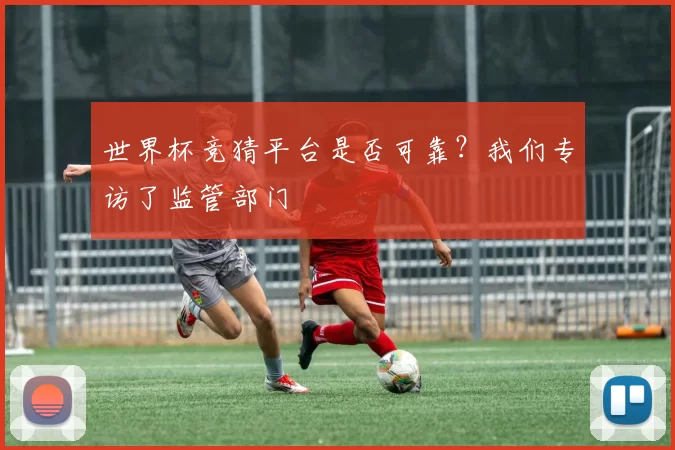 世界杯竞猜平台是否可靠？我们专访了监管部门