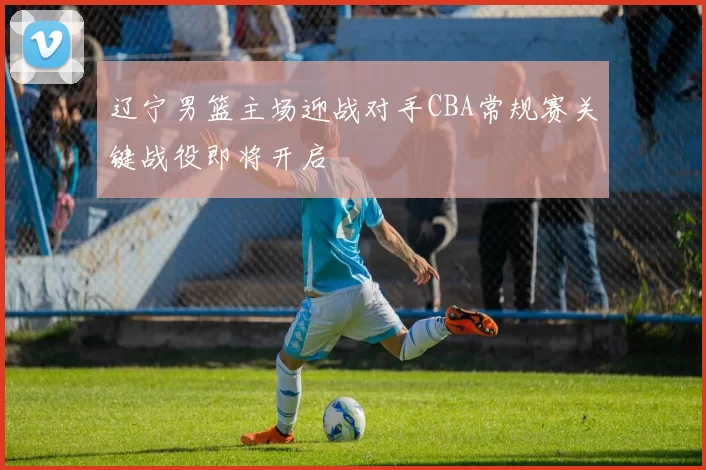 辽宁男篮主场迎战对手CBA常规赛关键战役即将开启