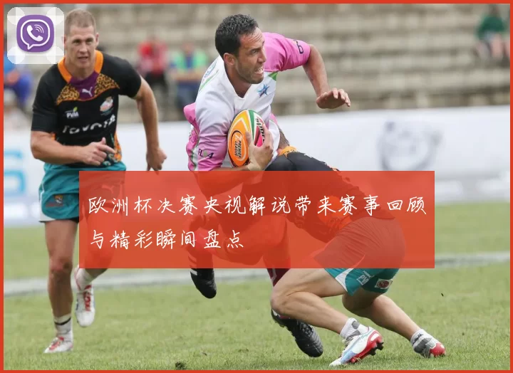 欧洲杯决赛央视解说带来赛事回顾与精彩瞬间盘点