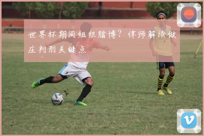 世界杯期间组织赌博？律师解读做庄判刑关键点