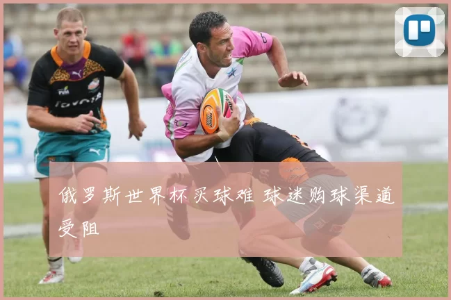 俄罗斯世界杯买球难 球迷购球渠道受阻