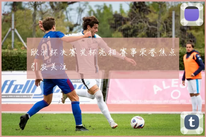 欧洲杯决赛奖杯亮相 赛事荣誉焦点引发关注
