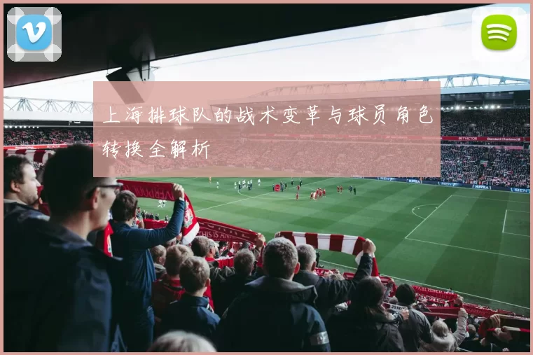 上海排球队的战术变革与球员角色转换全解析