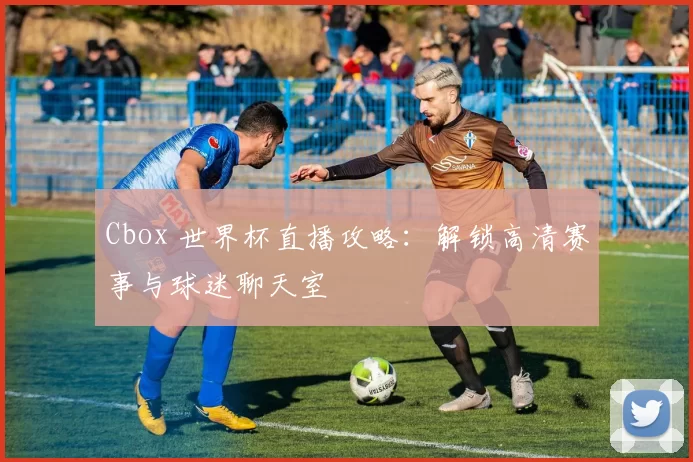 Cbox 世界杯直播攻略：解锁高清赛事与球迷聊天室